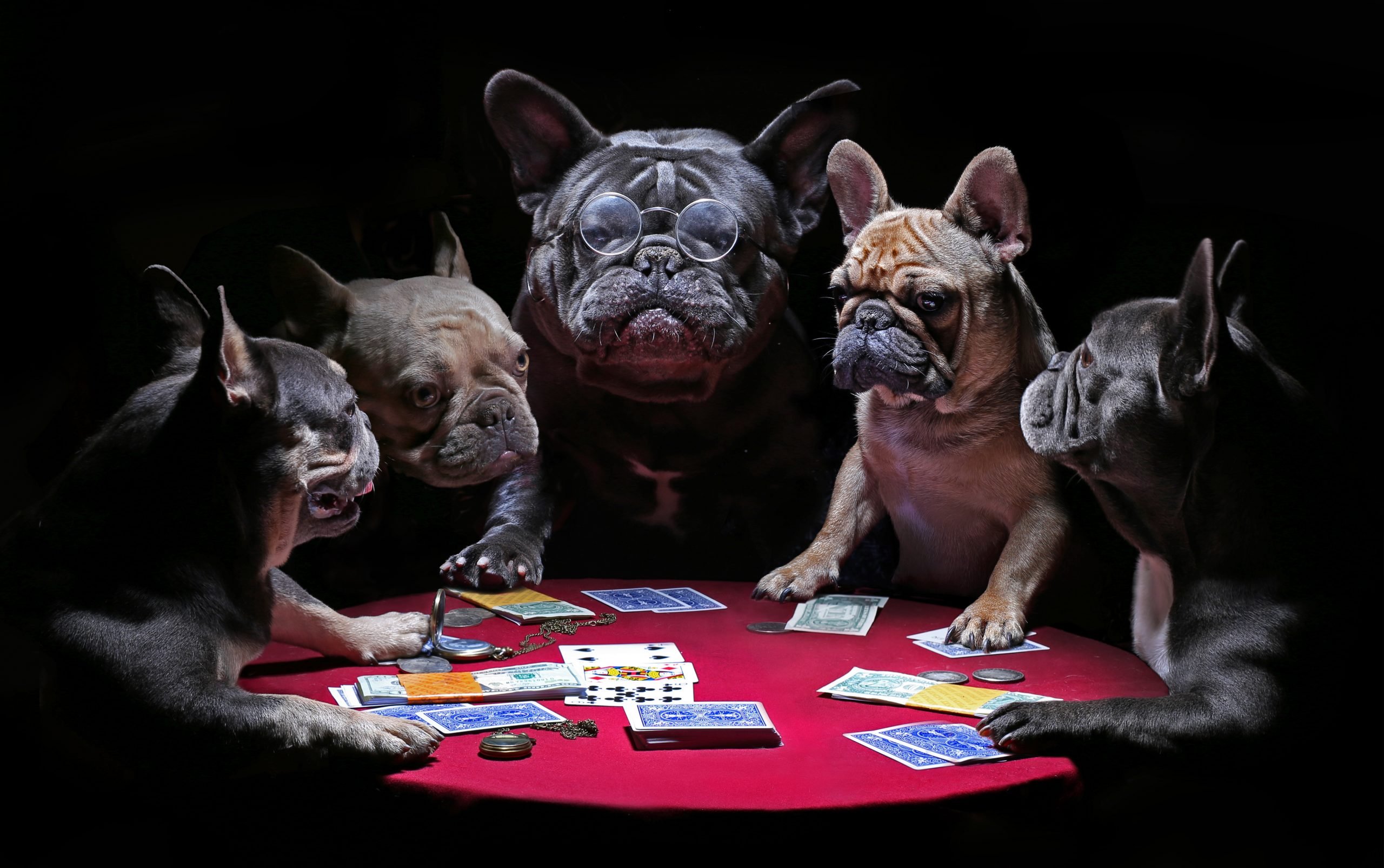 Poker Poker