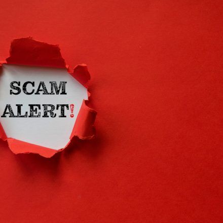 Red torn paper with a text of Scam Alert with copy space.