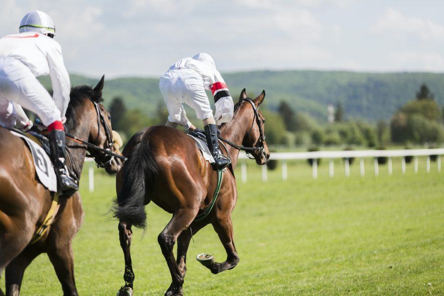 The Top 10 Female Horse Jockeys Of All Time