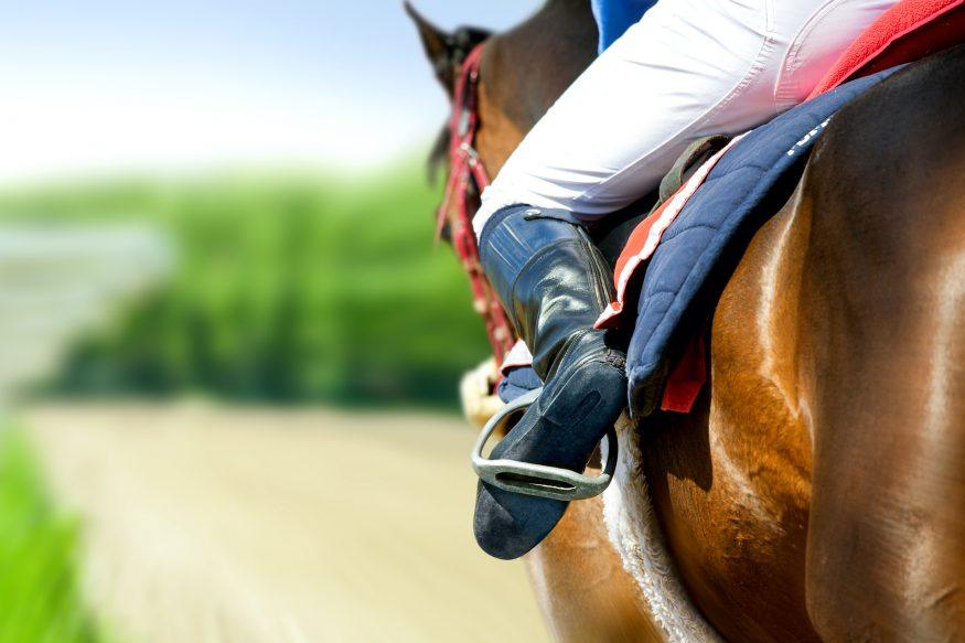 The Top 10 Most Famous Racehorses Of All Time