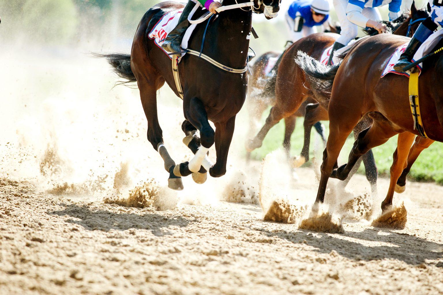 Top 10 Horse Racing Tracks in the World Famous Horse Race Courses