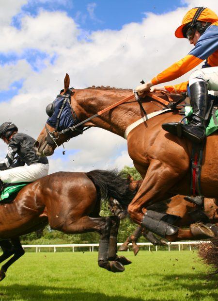 Jumping horses