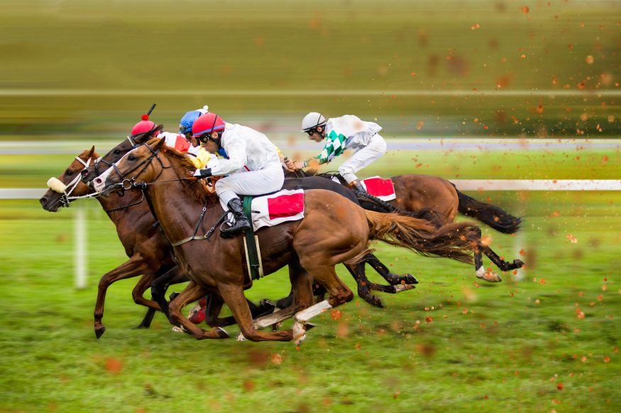 bet on live horse racing