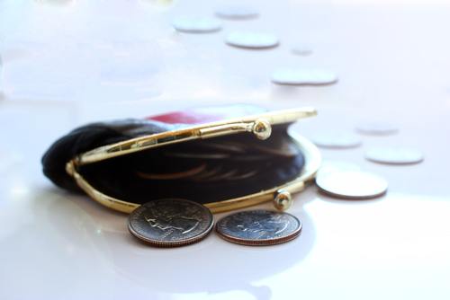 coin purse