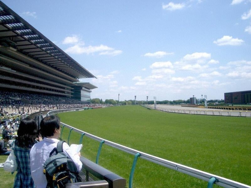 Everything about Tokyo Racecourse is big.