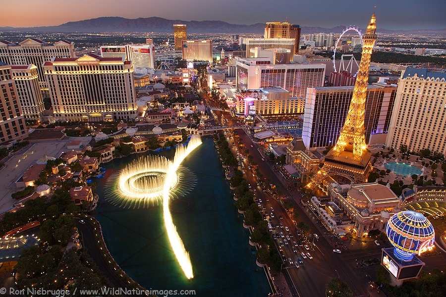 The Skyline Of Las Vegas. (Image credit:wildnatureimages.com)