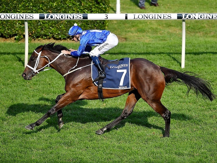Black Caviar is one of the famous racehorses of all time