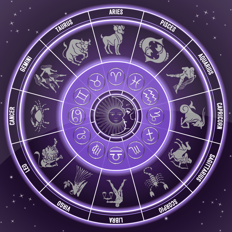 The 12 zodiac signs of the year 