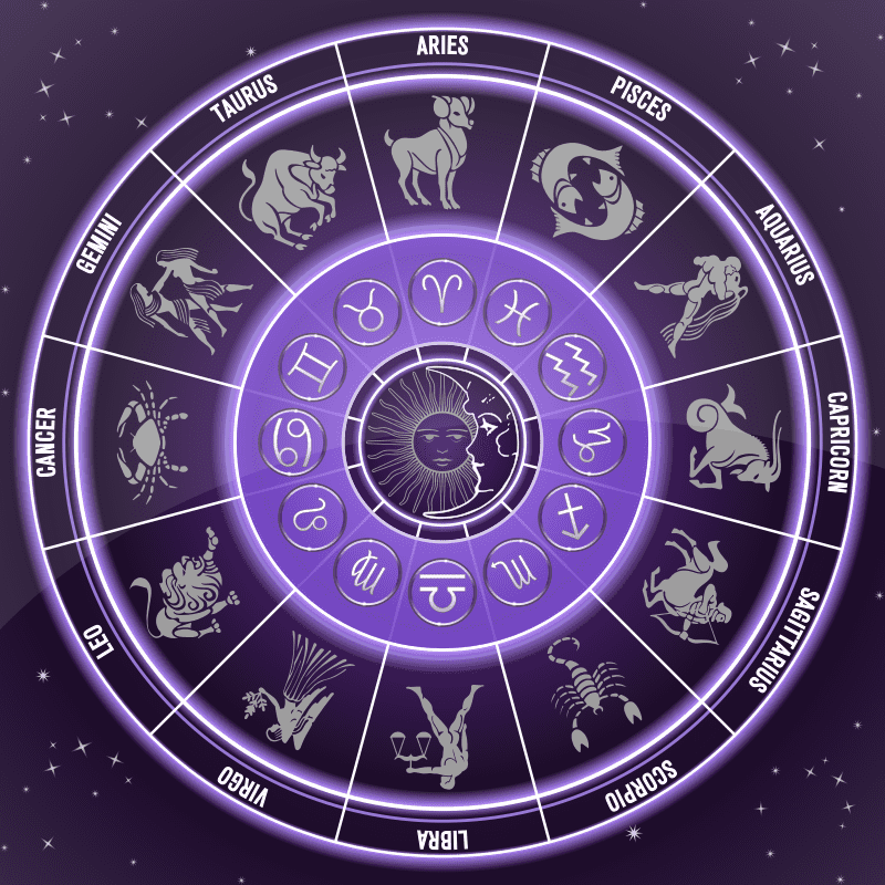 The 12 zodiac signs of the year