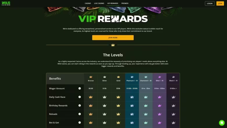 wild-casino-review-4