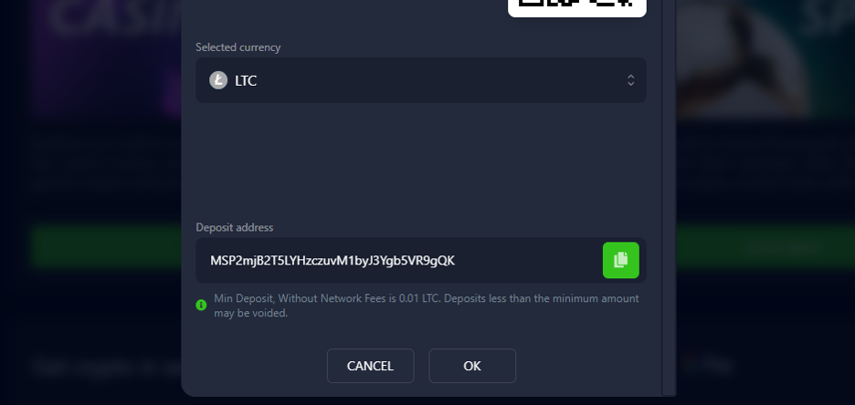 Riesci davvero a trovare la migliori casinò Litecoin sul Web?