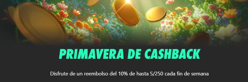 bet365-pe-yape-test.jpg