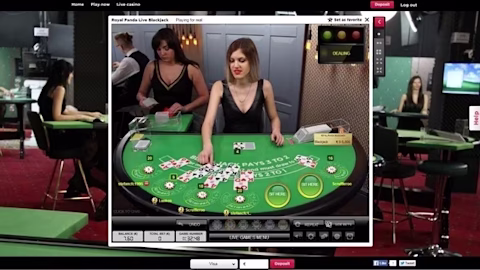 Spela Live dealer blackjack på Royal Panda Thumbnail