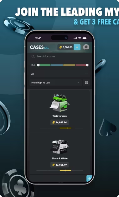 casesgg mystery boxes