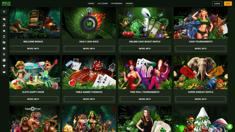 wild-casino-review-3