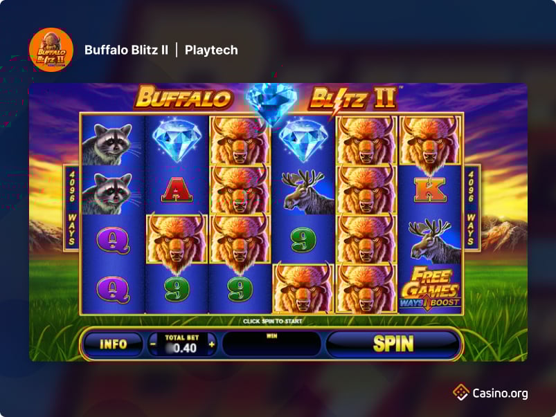 buffalo-blitz-2-us.jpg