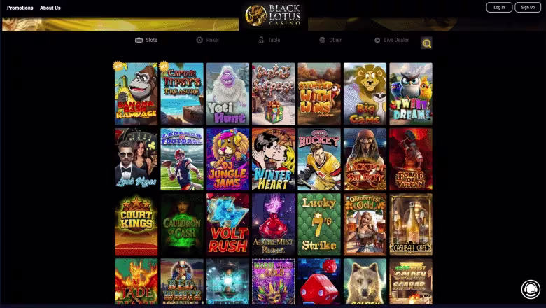 black-lotus-casino-gallery-1