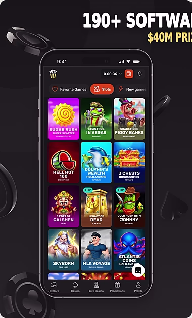 hollywin-casino-ca-2