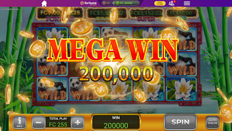 Fortune Coins Lucky Panda MegaWin