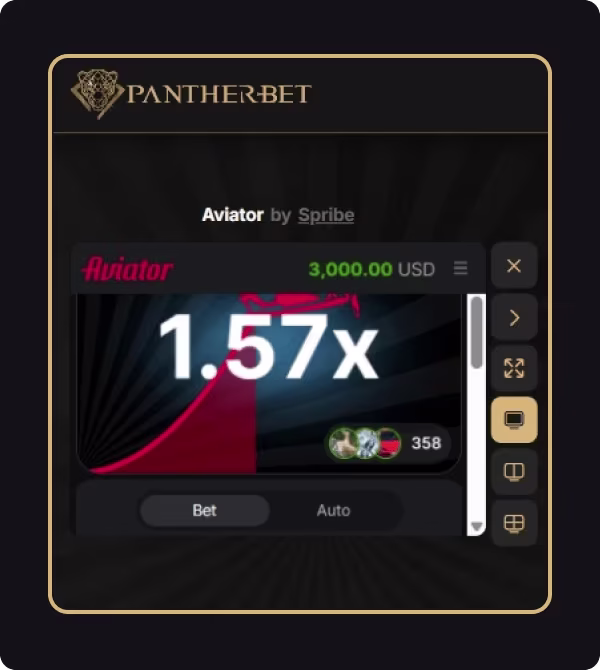 02-pantherbet-za.png