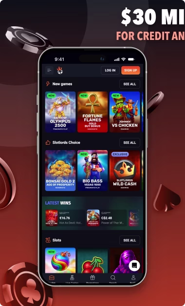 Slotlords credit and debit image 2