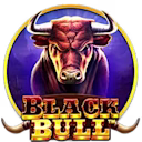 Black Bull