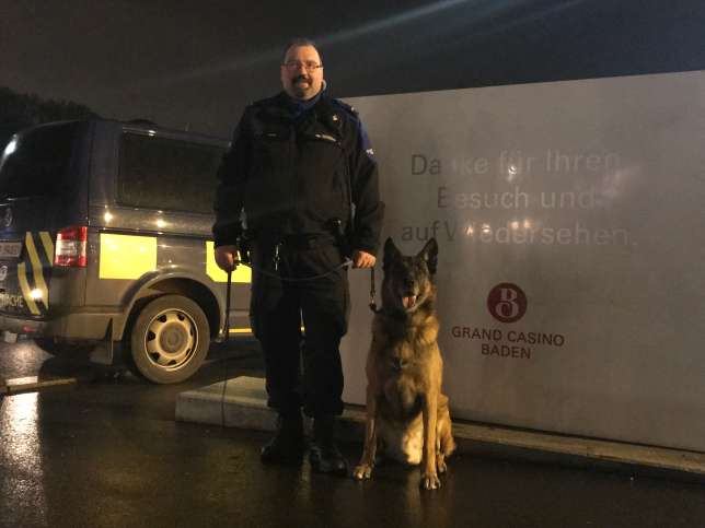 Spürhund "Bandit" mit Hundeführer