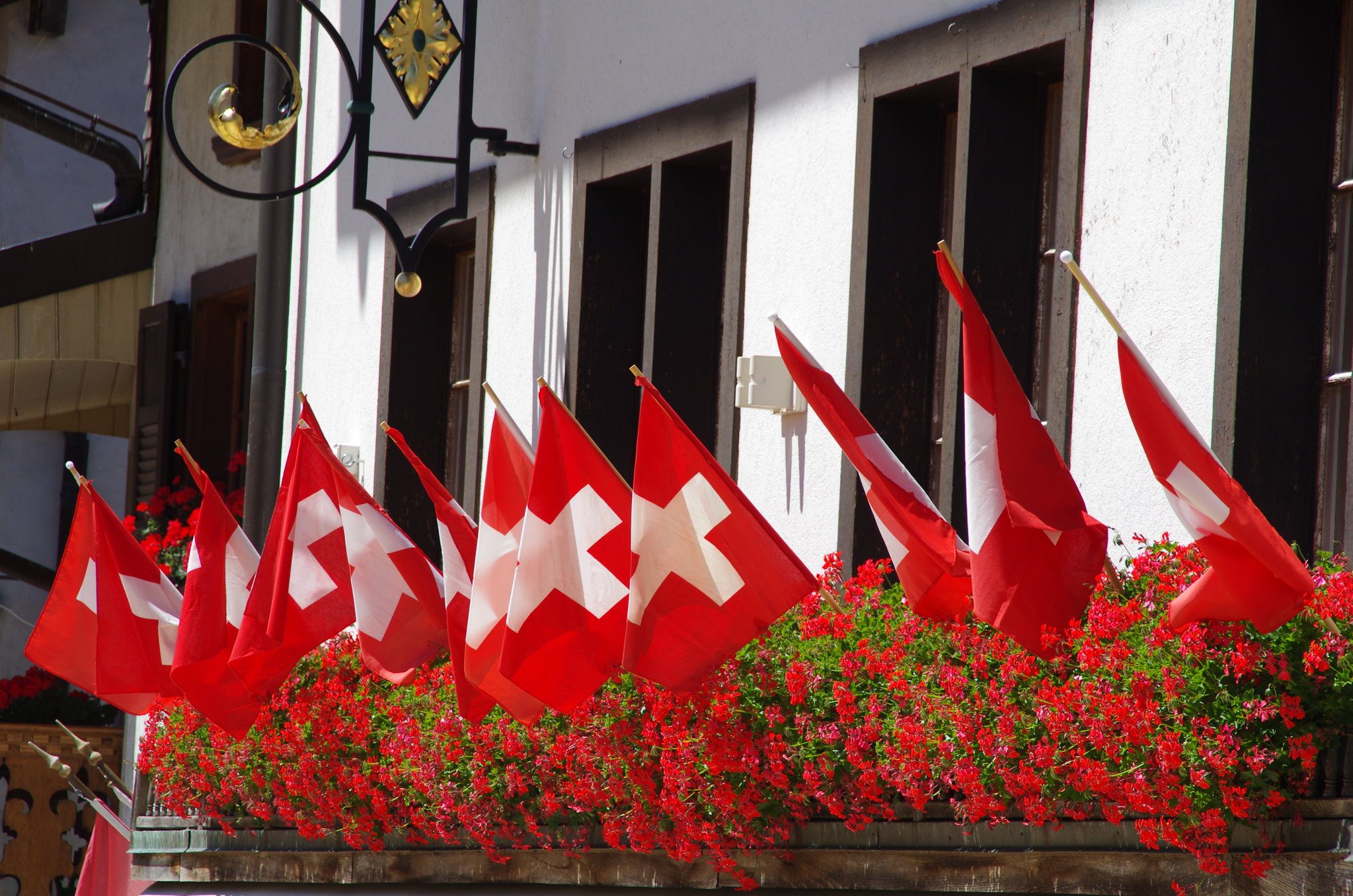 Schweizer Flaggen, Geranien