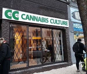 Cannabis Shop