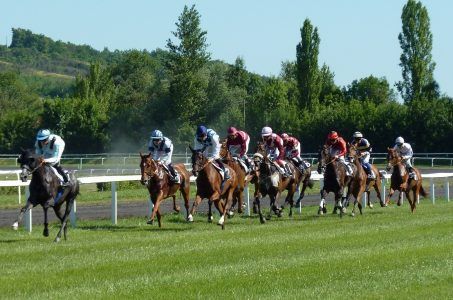 Pferderennen auf der Pferderennbahn