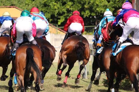 Pferderennen, Jockeys, Pferde von hinten