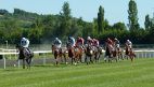 Pferderennen, Rennbahn