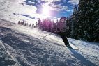 Schnee, Skifahrer, Sonne, Bäume