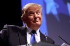 Donald Trump Porträt dümmliches Lächeln
