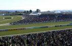Cheltenham-Festival Zuschauer