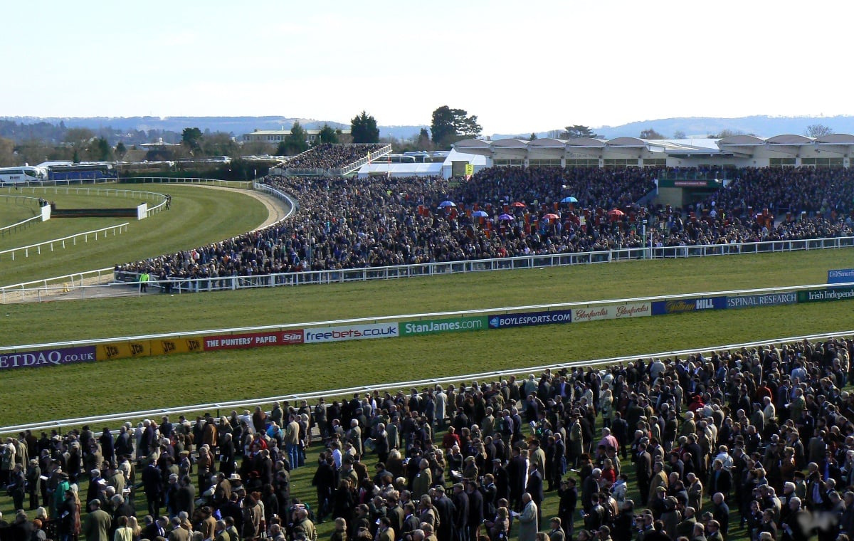 Cheltenham-Festival Zuschauer