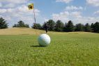 Golfball Rasen Fahne