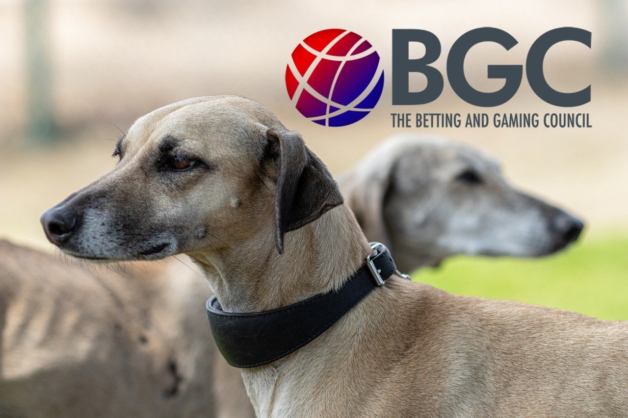 Windhunde, Logo BGC