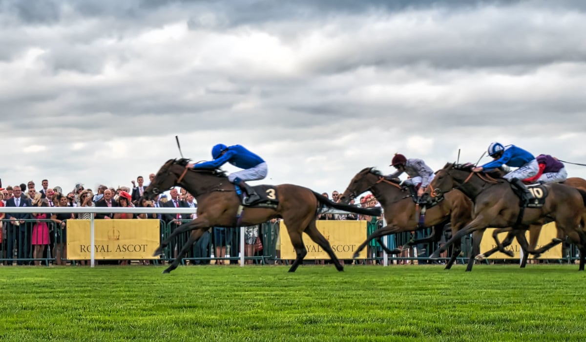 Pferderennen Royal Ascot