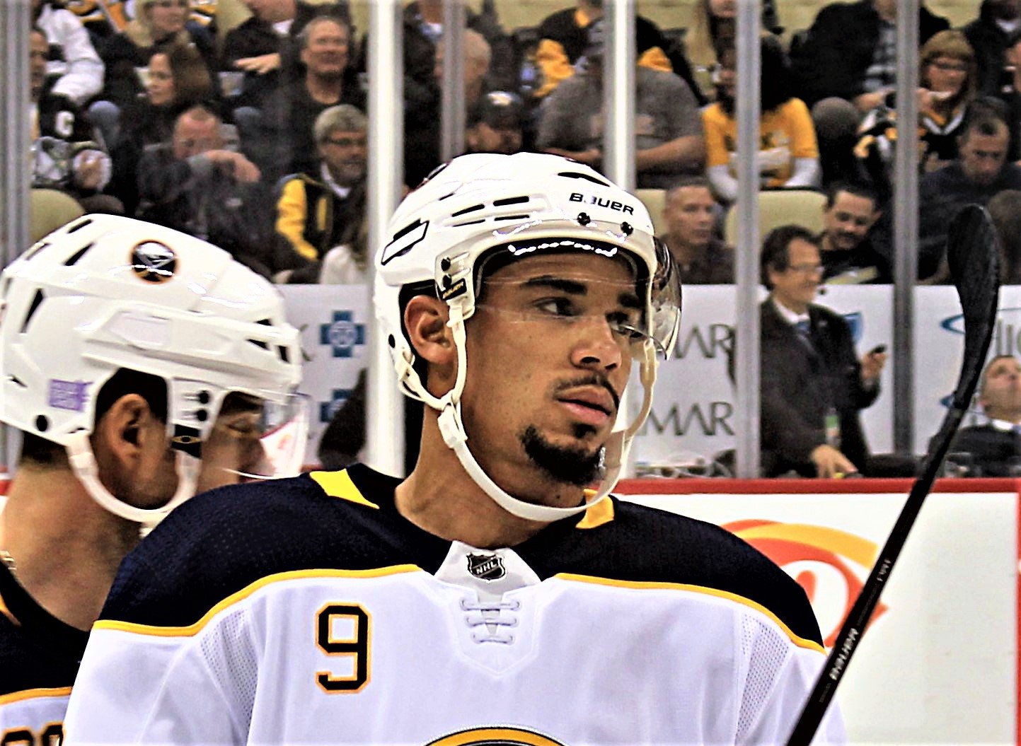 Evander Kane 2014