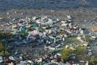 Plastikflaschen am Ufer