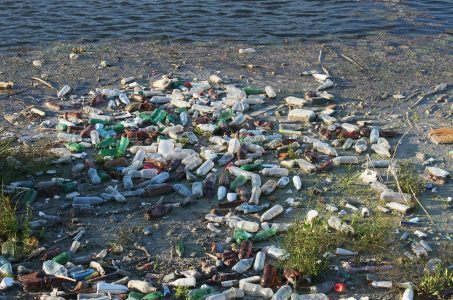 Plastikflaschen am Ufer