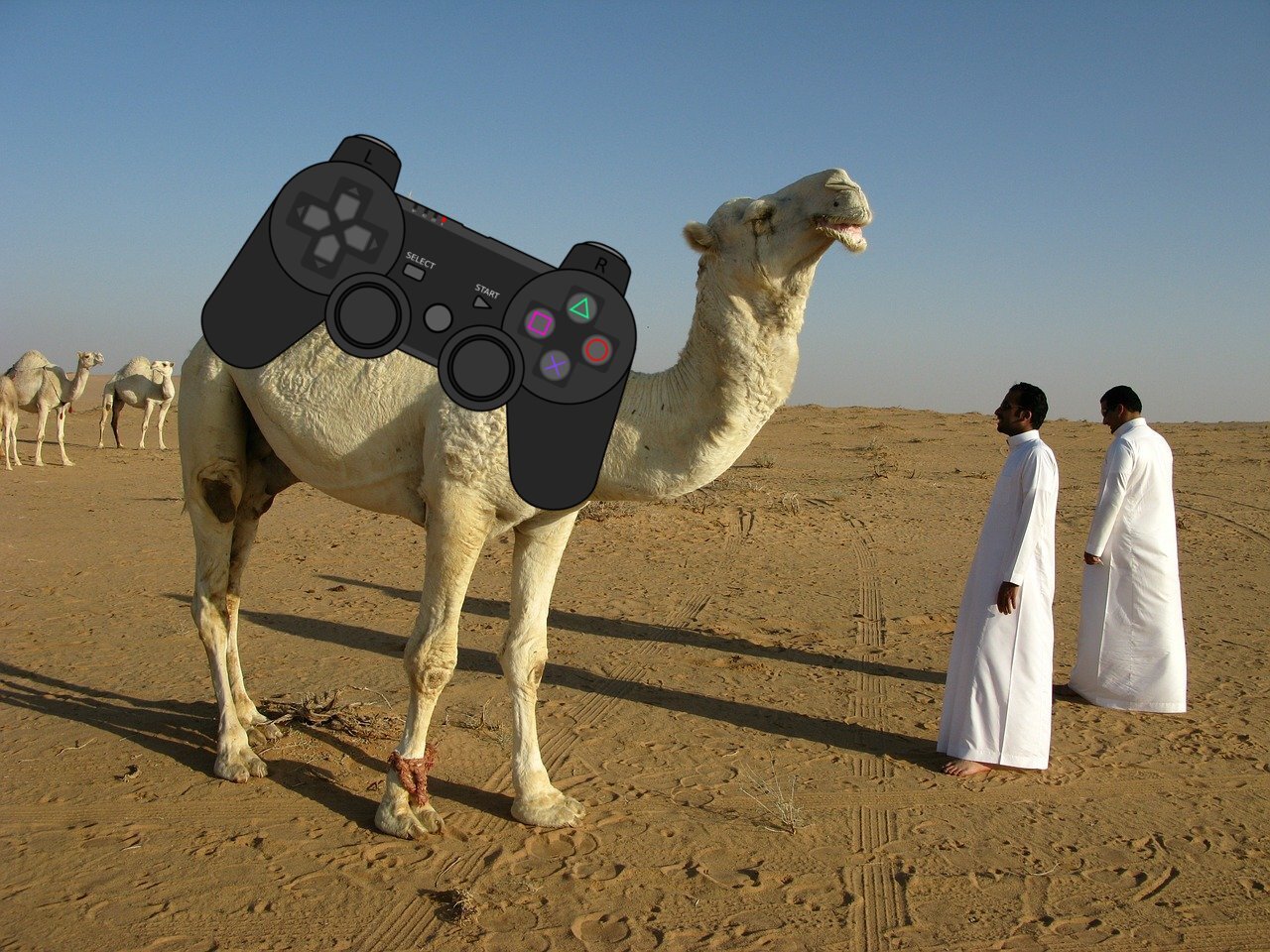 Kamel, Controller, zwei Männer