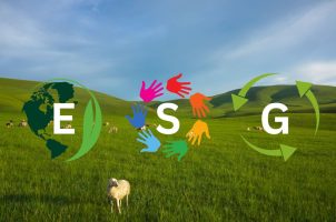 ESG, Environmental, Social, Governmental