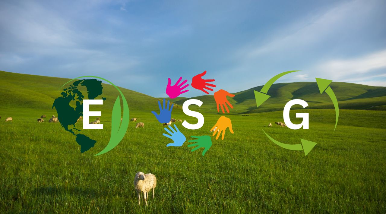 ESG, Environmental, Social, Governmental