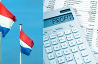 Niederlande, Fahnen, Taschenrechner, Profit