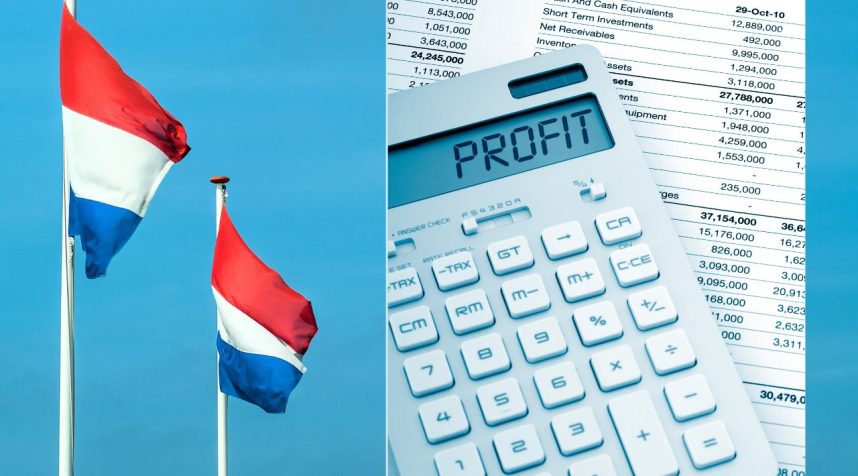 Niederlande, Fahnen, Taschenrechner, Profit