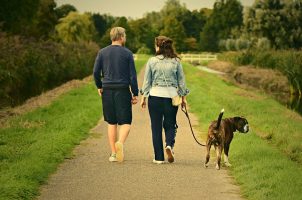 Paar mit Hund beim Spaziergang