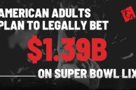 AGA-Super-Bowl-Grafik