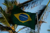 Brasilianische Fahne unter Palmen